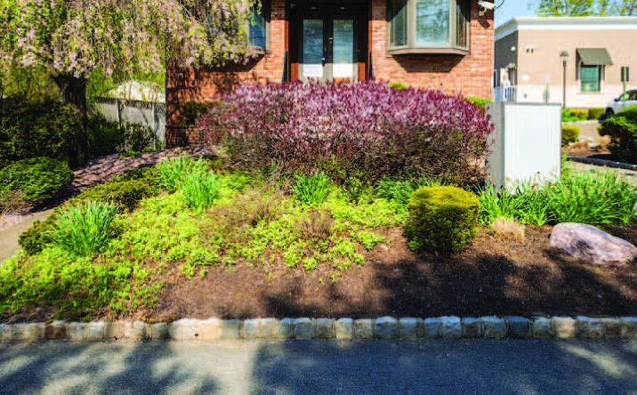 Pictures of Retail, Office property located at 7 Harrison Ave, Morris Plains, NJ 07950 for lease - image #1
