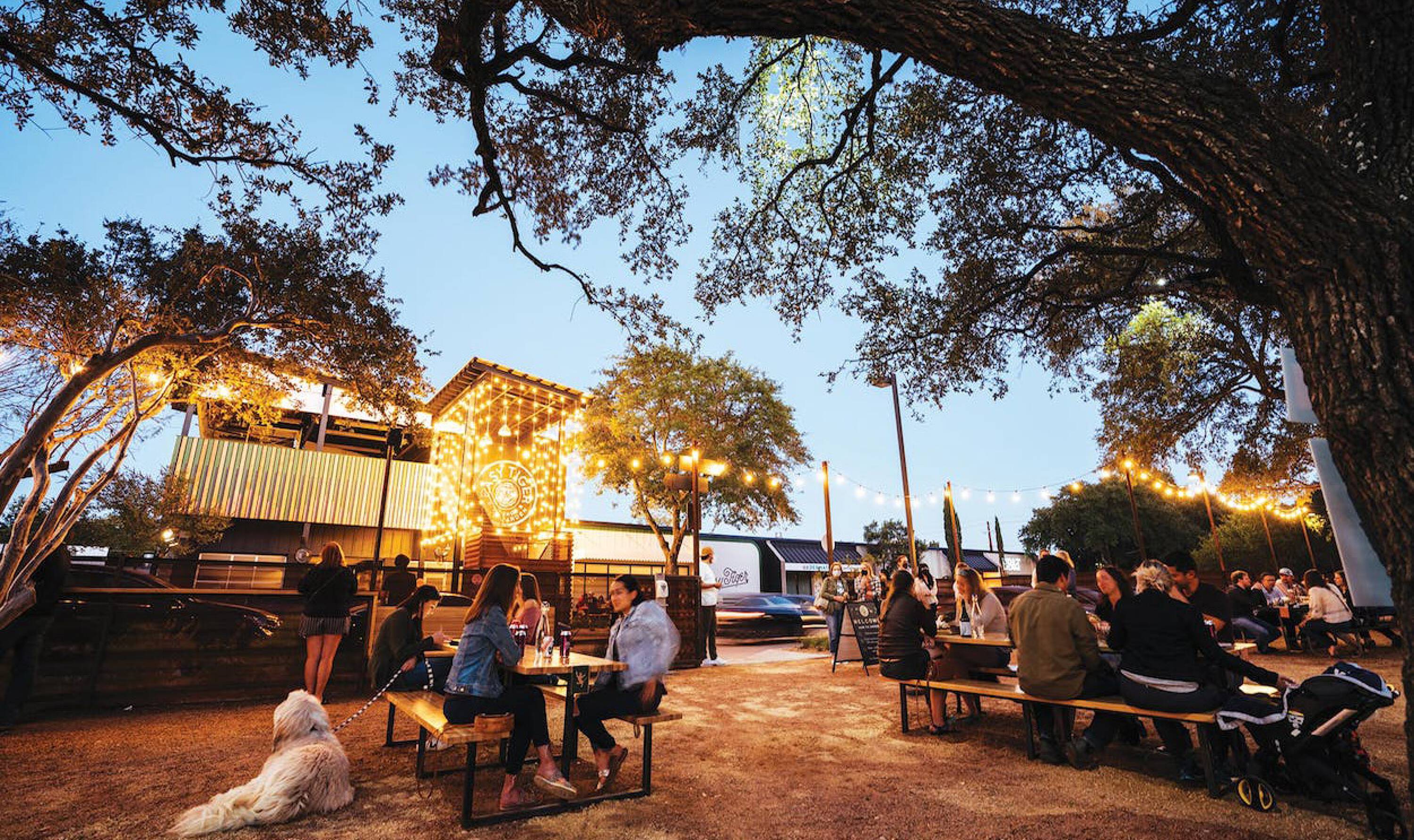 Outdoor dining area at The Bend with picnic tables, string lights, and large trees.