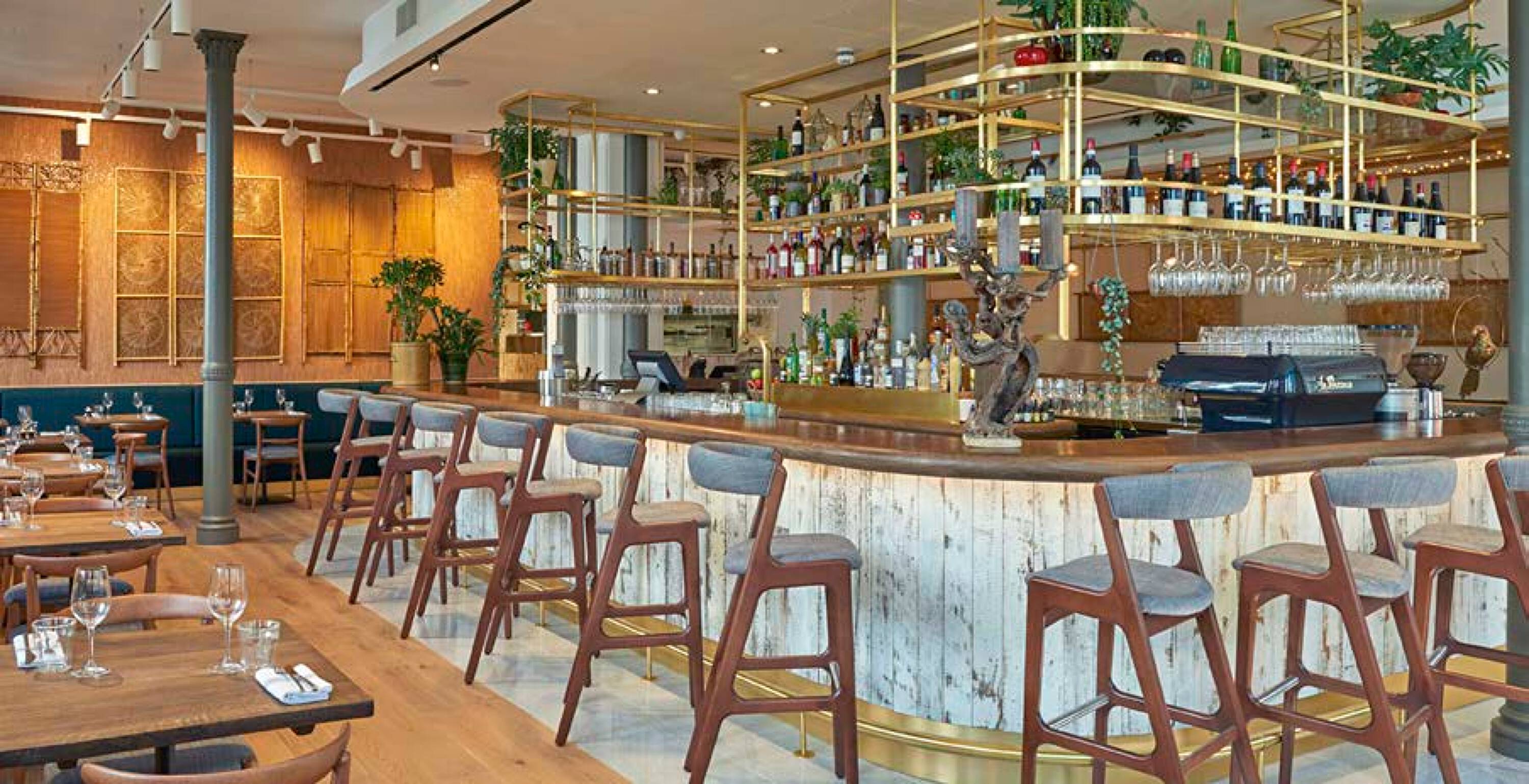 Modern retail space with a central bar, ample seating, large windows, and lush indoor plants in Humble, TX.
