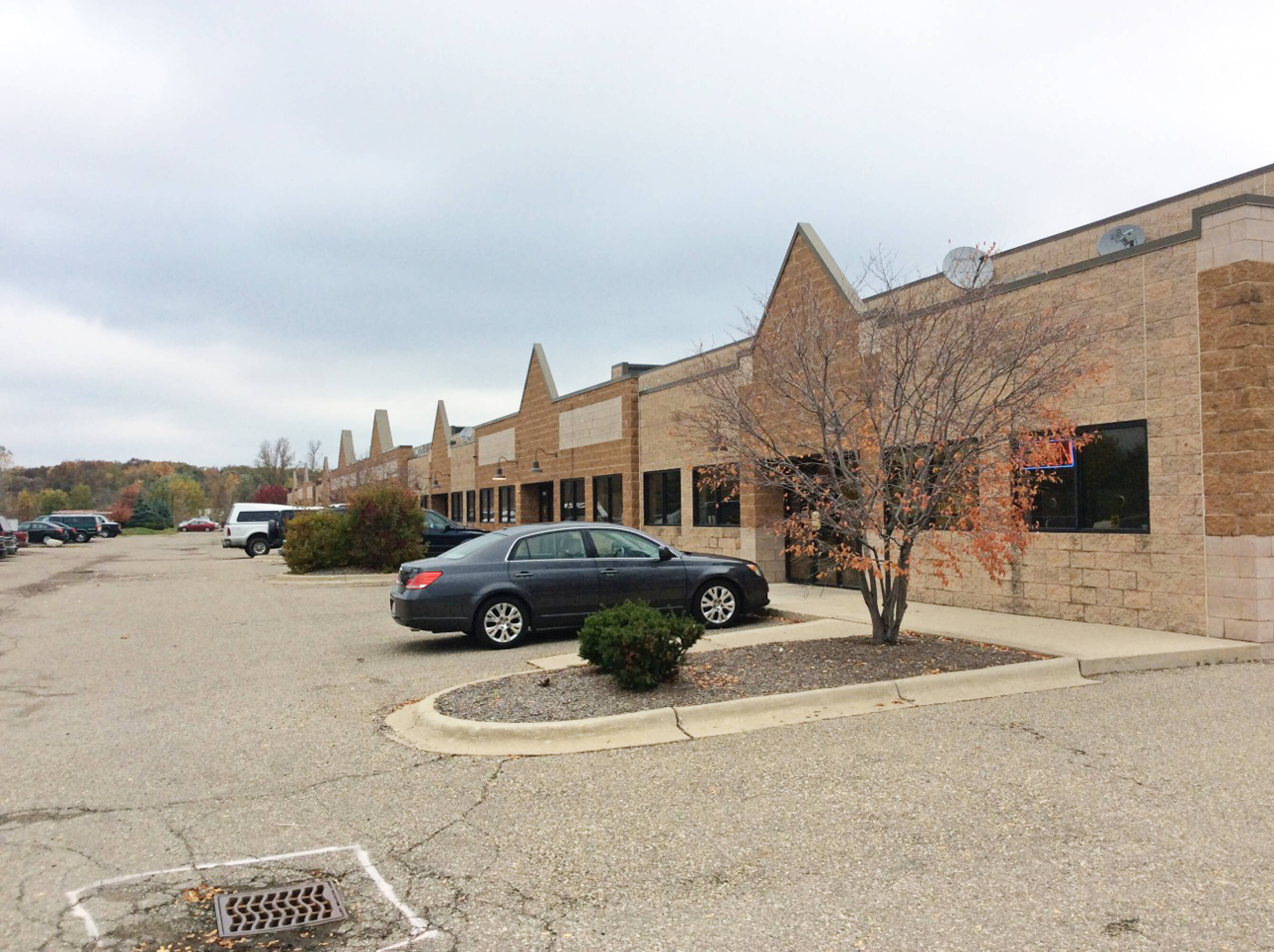 2923429248 Lyon Oaks Drive, Wixom, MI 48393