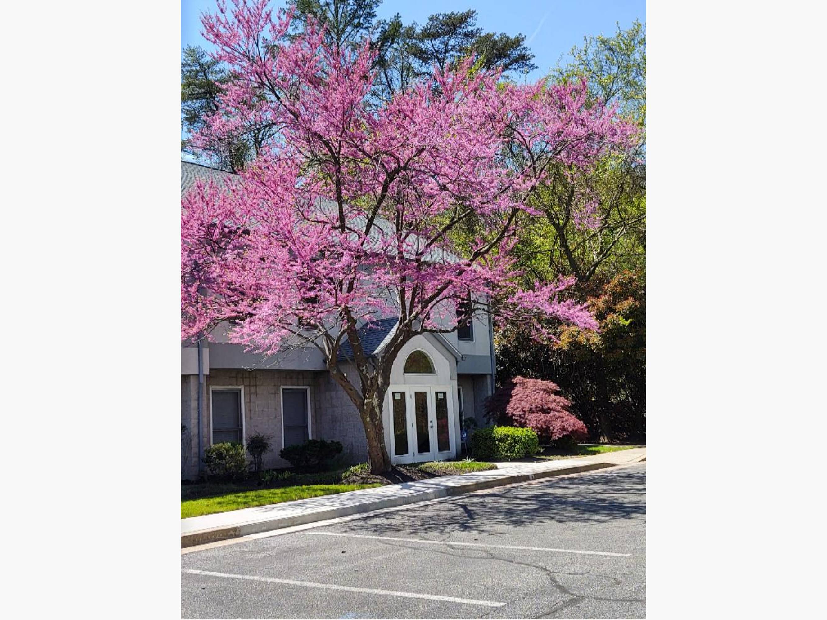 1916 Old Stage Rd, Glen Burnie, MD 21061