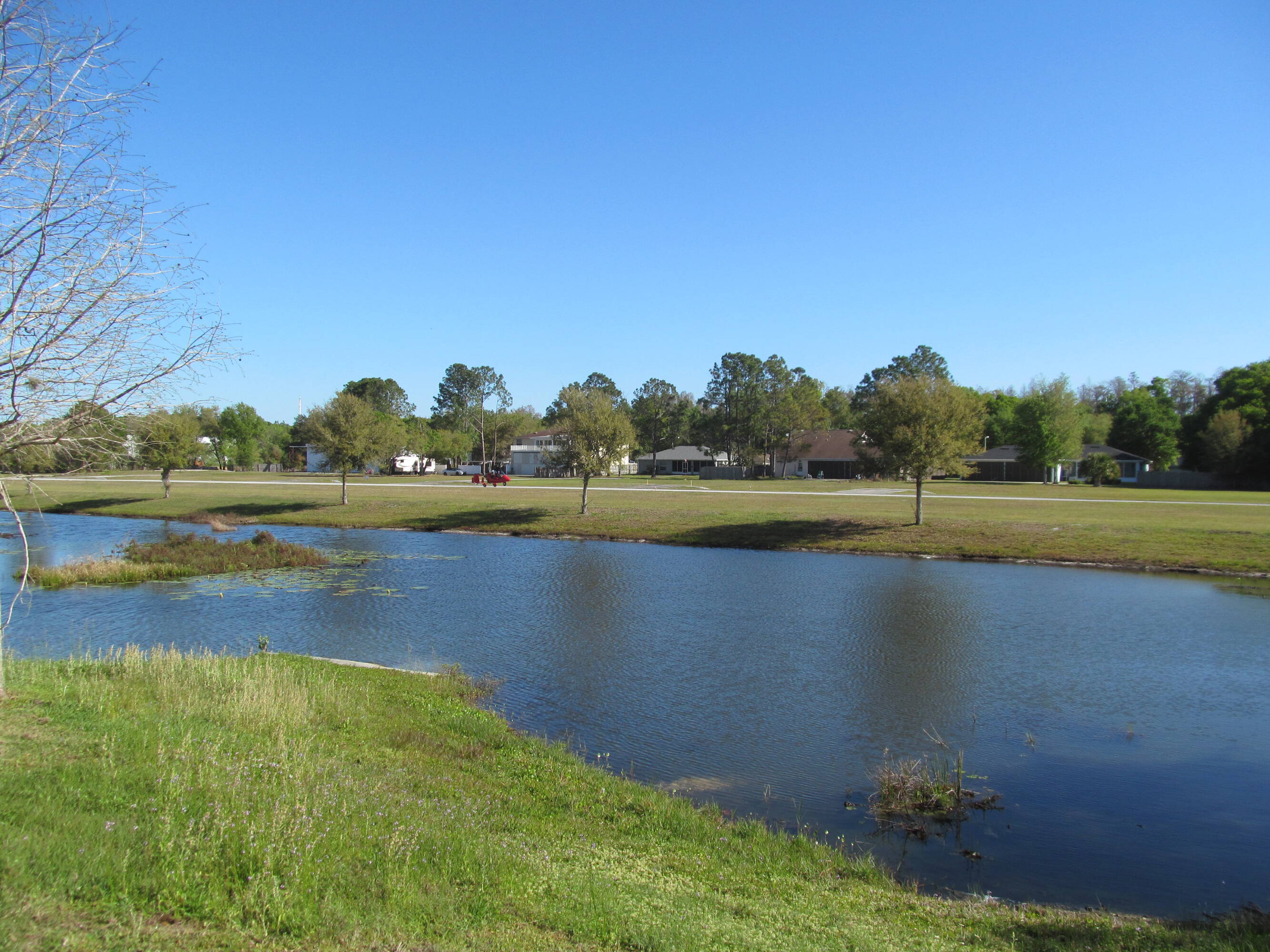 4614 Pet Ln, Lutz, FL 33559