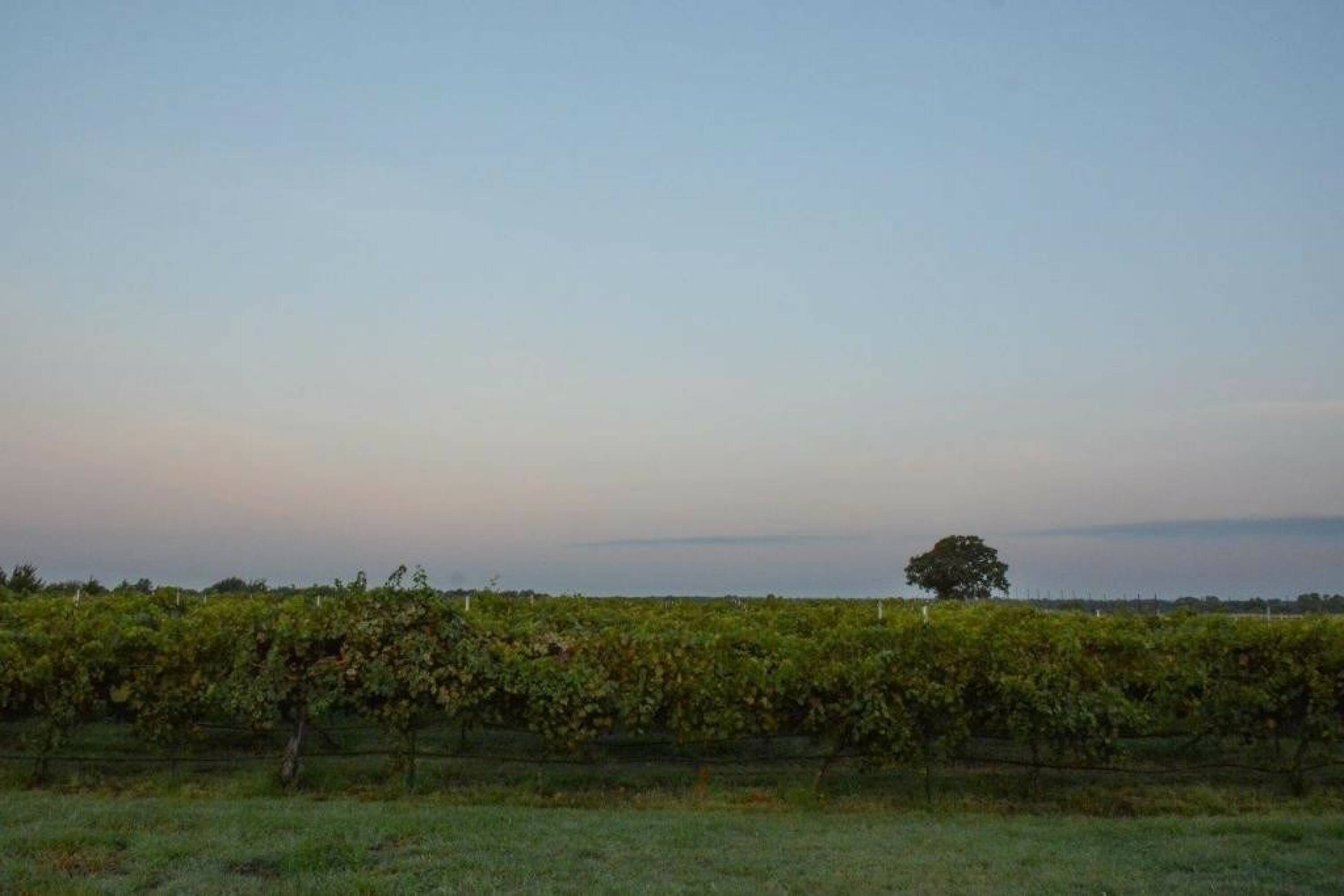 2417 S Hwy 81, Bray, OK 73055 Land for Lease