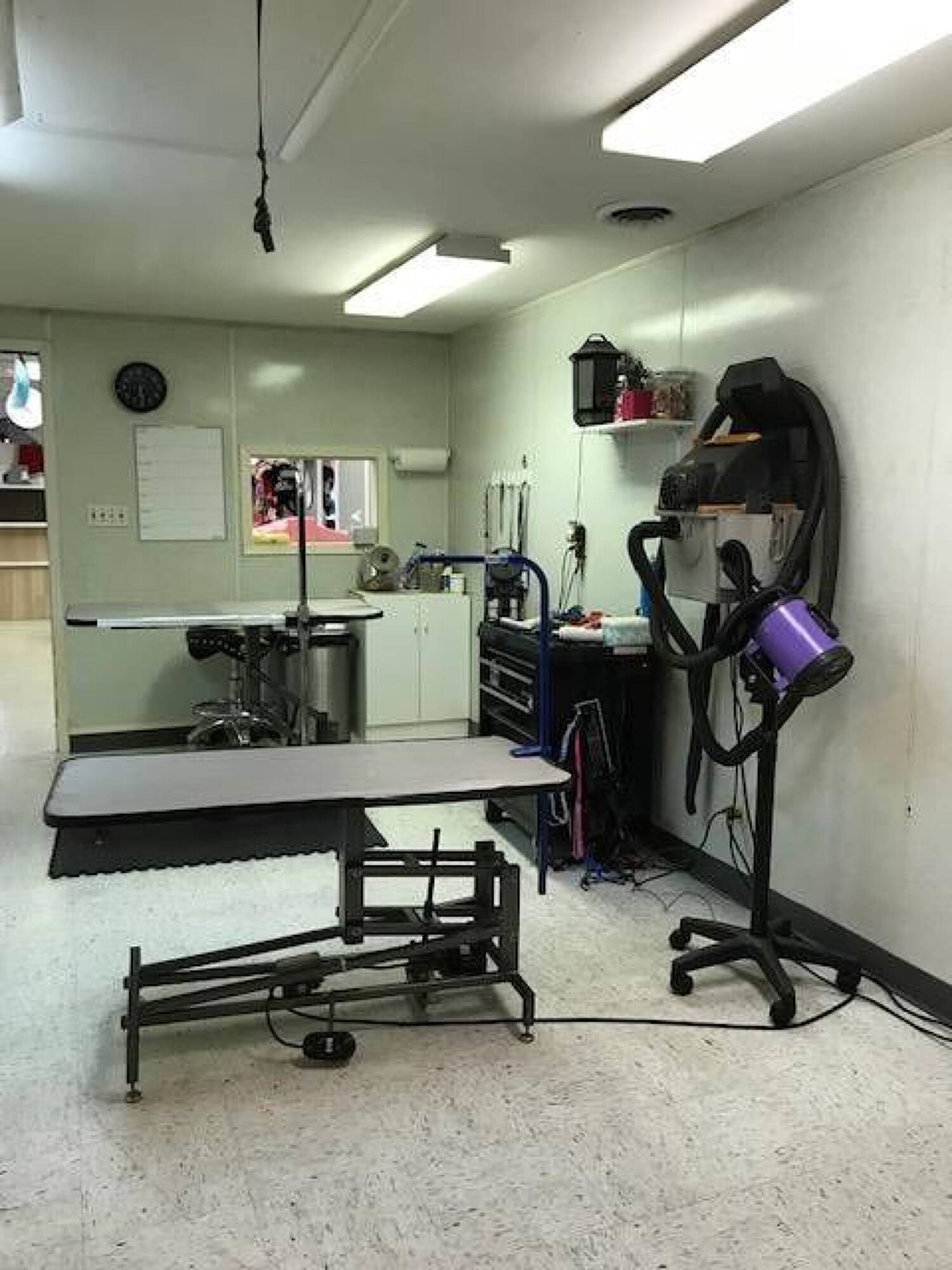 Pet Grooming & Retail, Dumont, NJ 07628