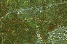 10347446