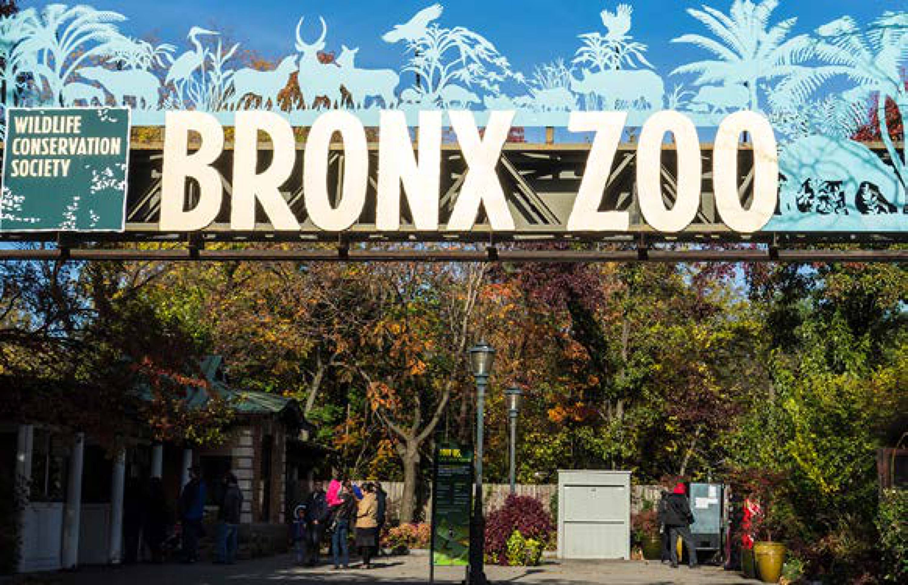 575 Exterior Street Bronx Ny 10451 55 - s06ux53
