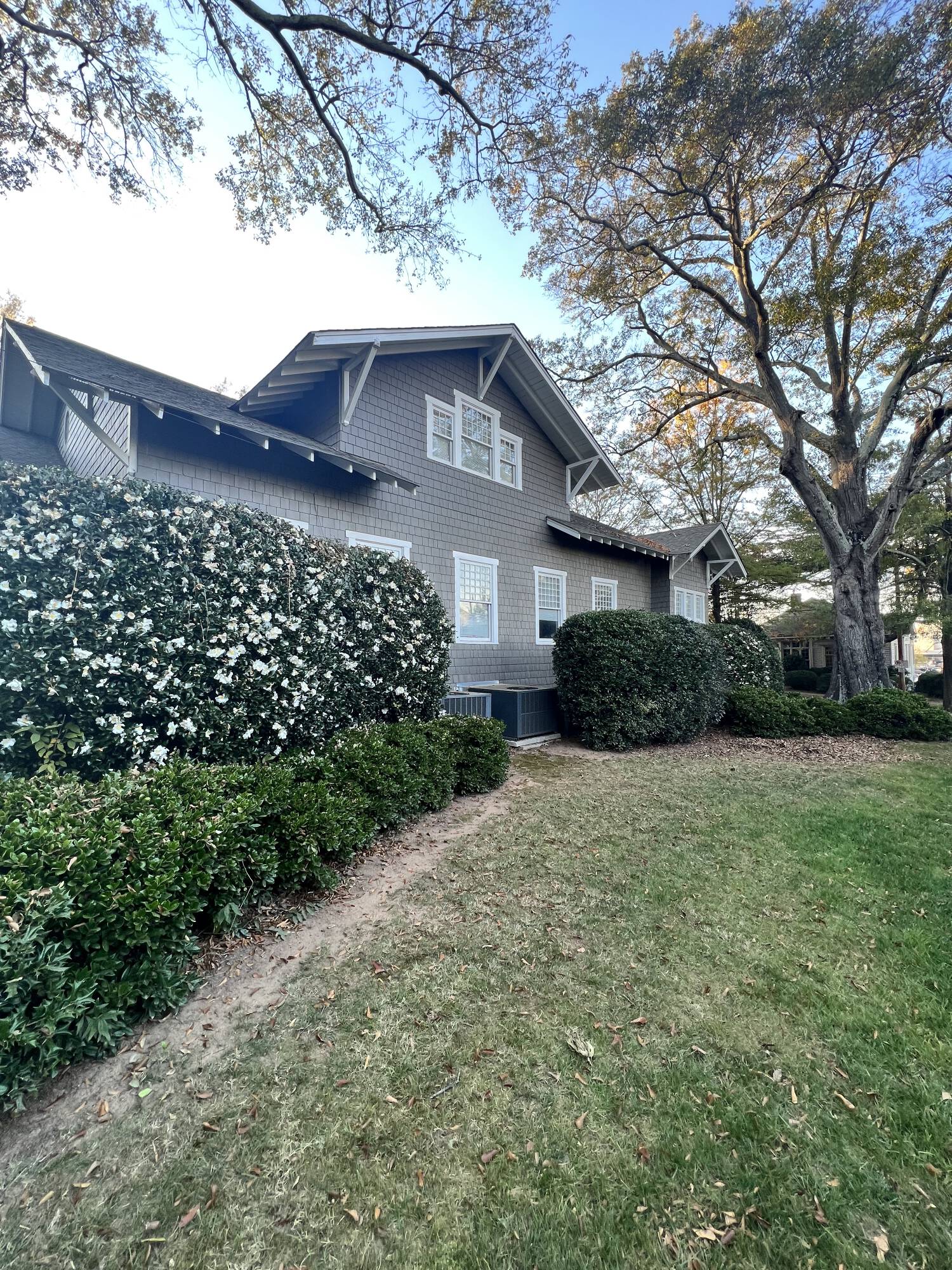 200 Whitsett St. Suite C, Greenville, SC 29601