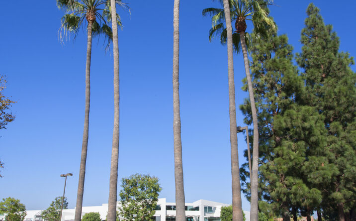 Pictures of Industrial property located at 11065-11235 Knott Ave, Cypress, CA 90630 for lease - image #1
