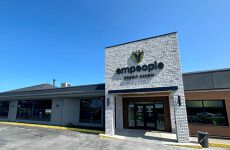 10684394