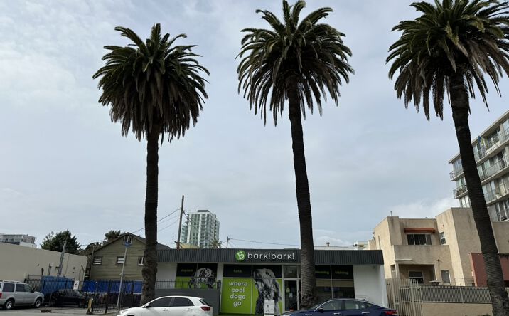 Pictures of Retail property located at 325 Atlantic Ave, Long Beach, CA 90802 for lease - image #1