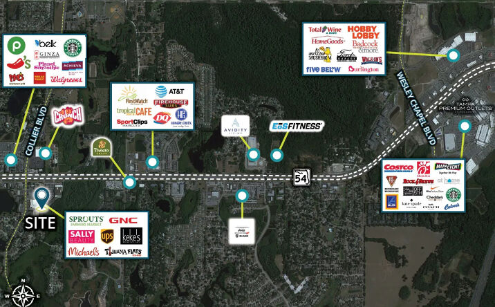 Pictures of Retail property located at 22952 FL-54, Lutz, FL 33549 for lease - image #1