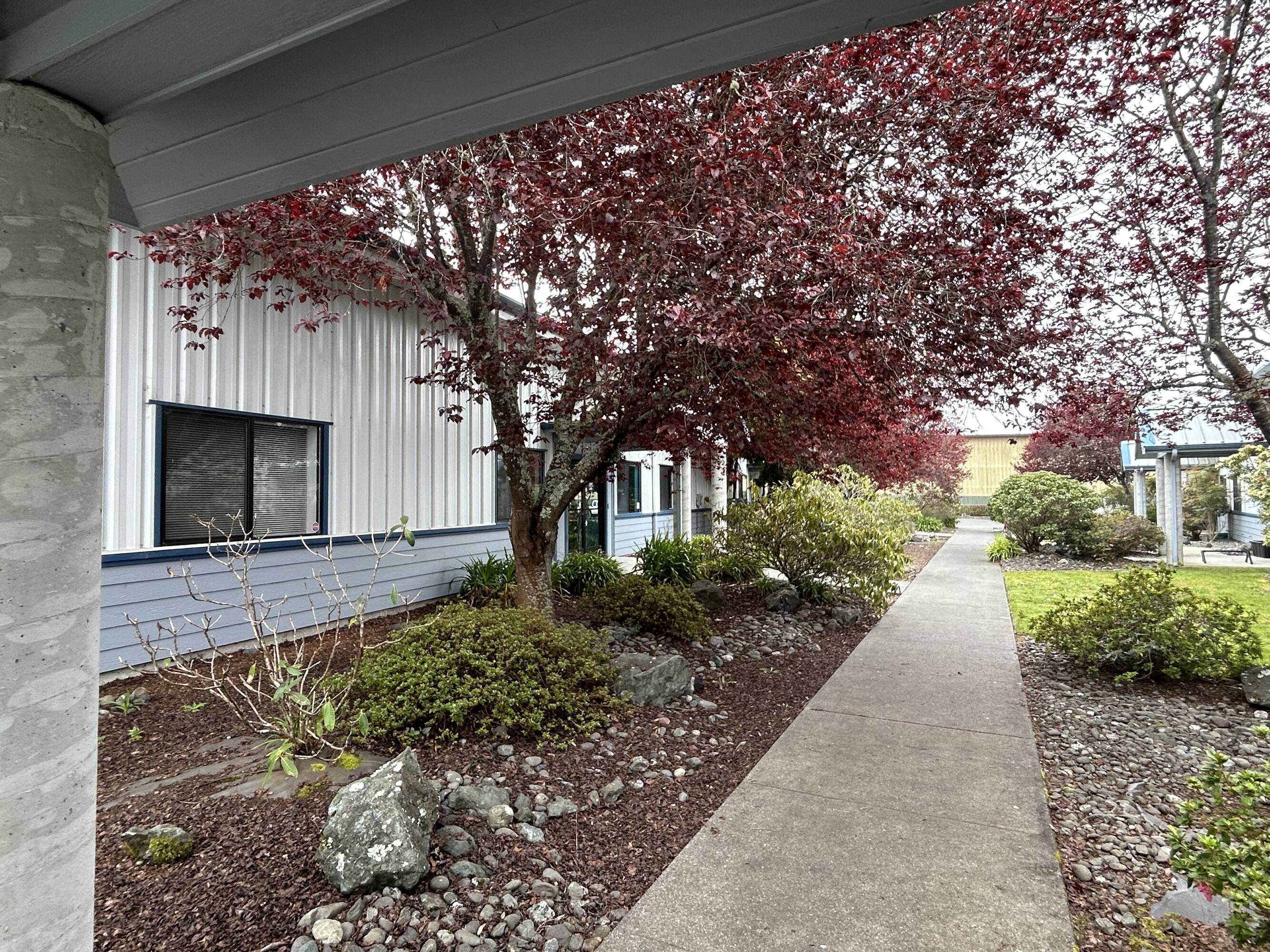 55 Ericson Ct, Arcata, CA 95521