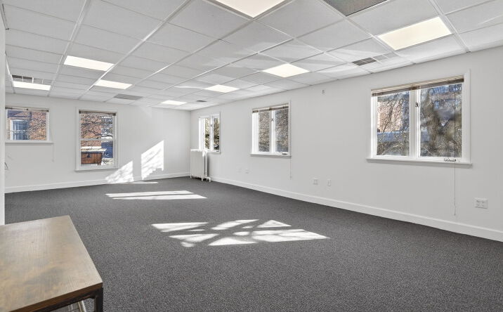 Pictures of Office property located at 203 N Aurora St, Ithaca, NY 14850 for lease - image #1