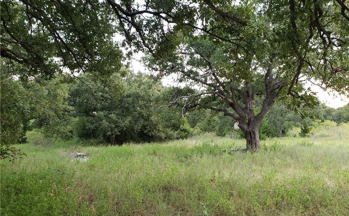 Pictures of Land property located at 18901 Hogeye Rd, Manor, TX 78653 for lease - image #1