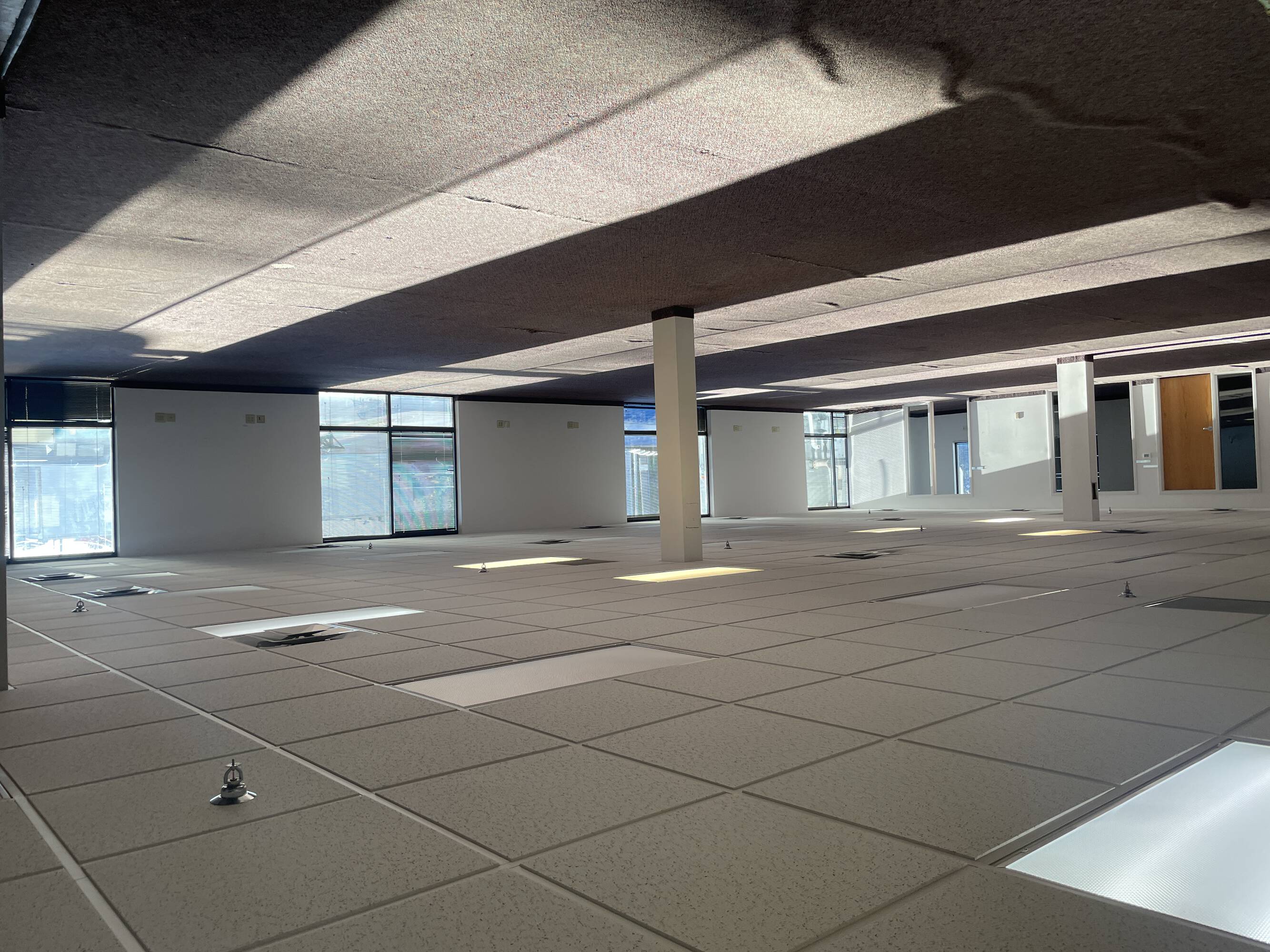 2315979
