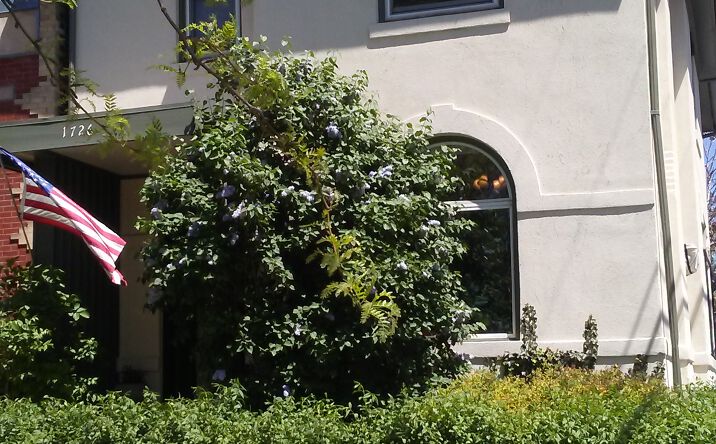 Pictures of Office, Special Purpose property located at 1726 N Clarkson St, Denver, CO 80218 for lease - image #1