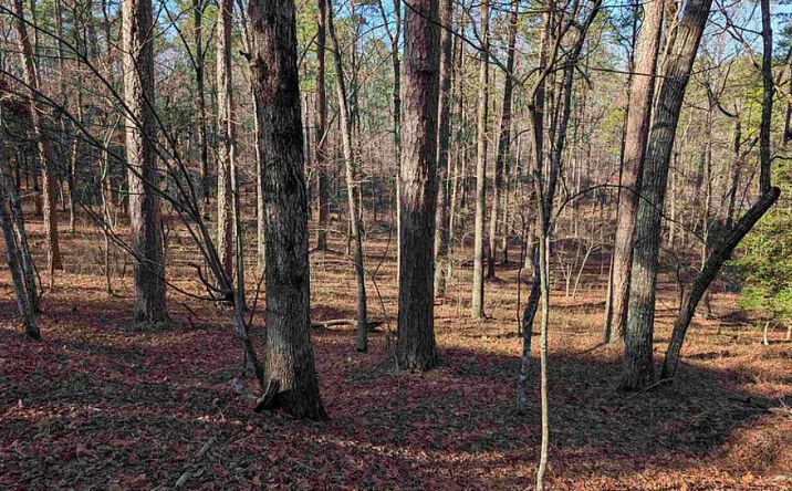 Pictures of Land property located at 8 Mesa Ln, Hot Springs Village, AR 71909 for lease - image #1