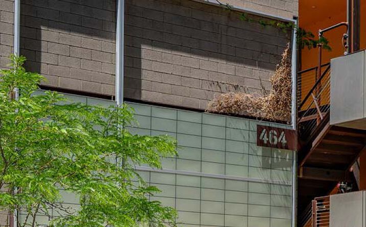Pictures of Office property located at 464 S Farmer Ave, Tempe, AZ 85281 for lease - image #1