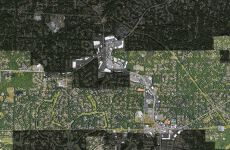 12289258
