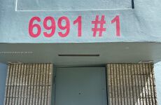 10513607