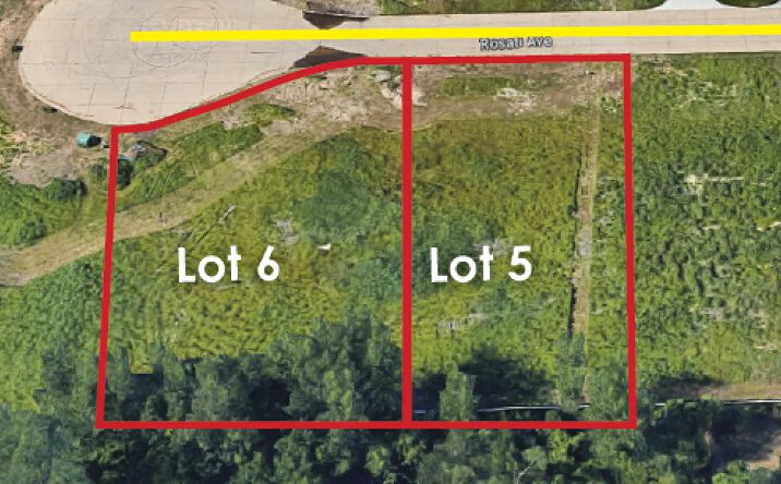 Pictures of Land property located at Rosati Ave, Livonia, MI 48150 for lease - image #1