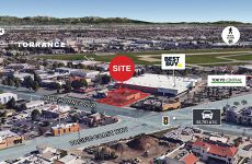 10598029