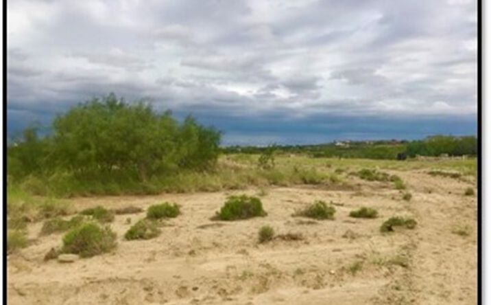 Pictures of Land property located at TX-359, Laredo, TX 78043 for lease - image #1