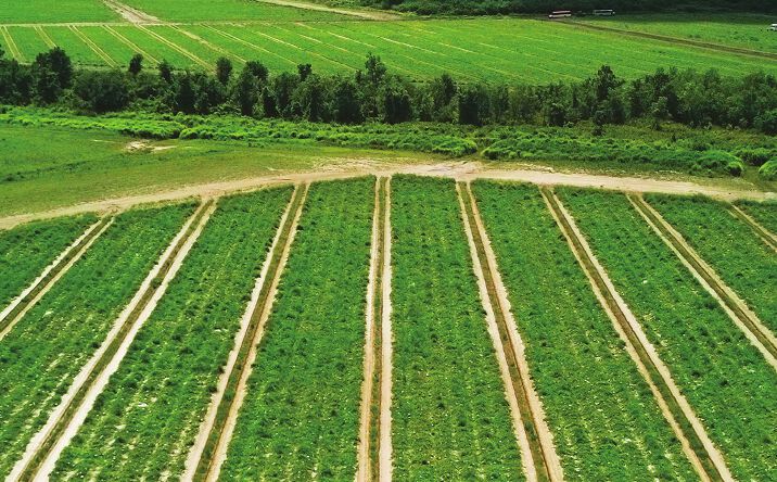 Pictures of Retail, Land property located at Manatee County Farmland, Bradenton, FL 34201 for lease - image #1