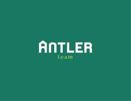 Antler Team