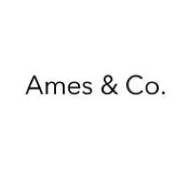 Ames & Co. Management