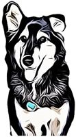 MyDogJack, LLC