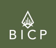 Big Island Commercial Properties