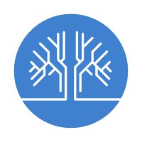 Boundary Street Advisors
