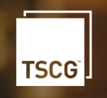 The shoping center group