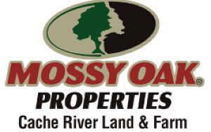 Mossy Oak Properties Cache River Land & Farm