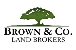 Brown & Co Real Estate