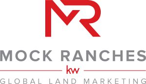 Keller Williams, LLC