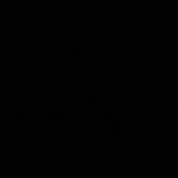 TS